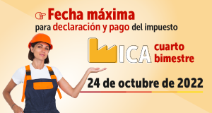 Vista en miniatura